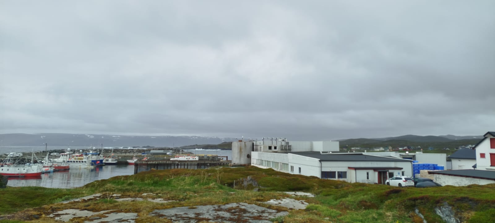 Norvegia